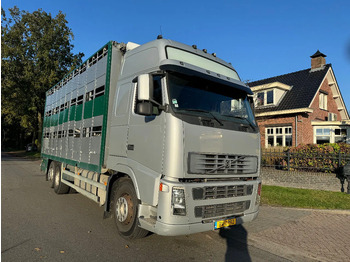 Állatszállító teherautó VOLVO FH12 500